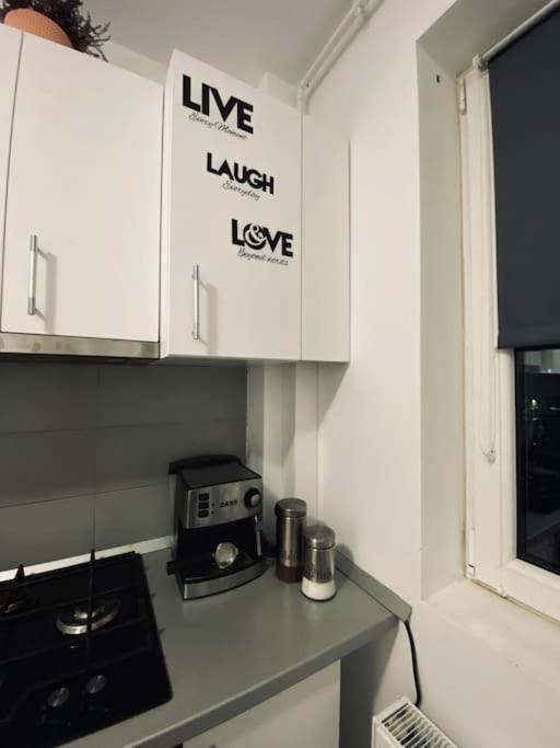 Apartament 2 Camere Modern Si Confortabil Giroc Екстер'єр фото