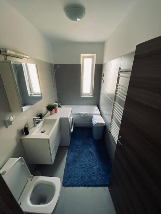 Apartament 2 Camere Modern Si Confortabil Giroc Екстер'єр фото